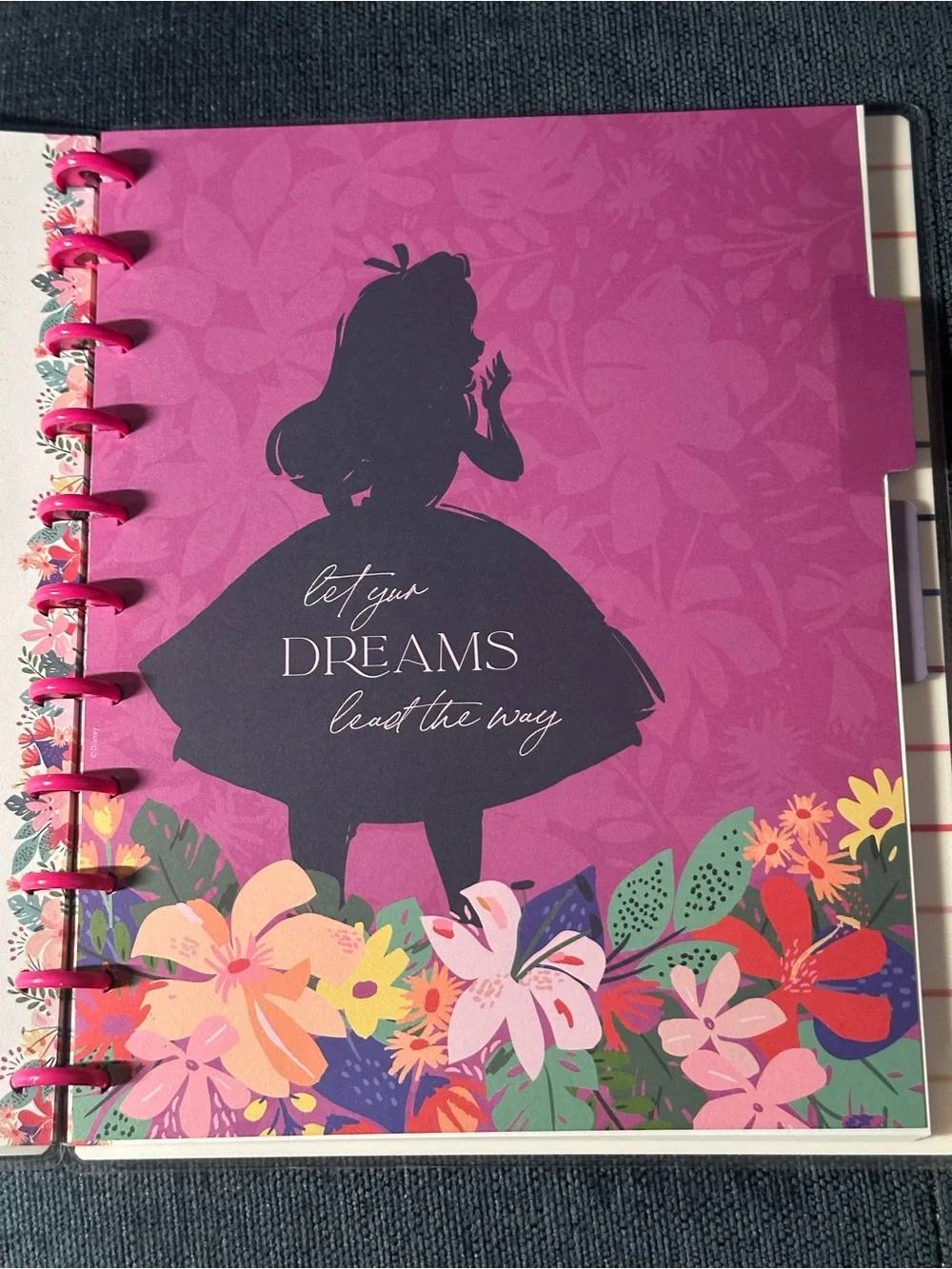 Disney Alice in Wonderland Happy Planner BIG Notebook